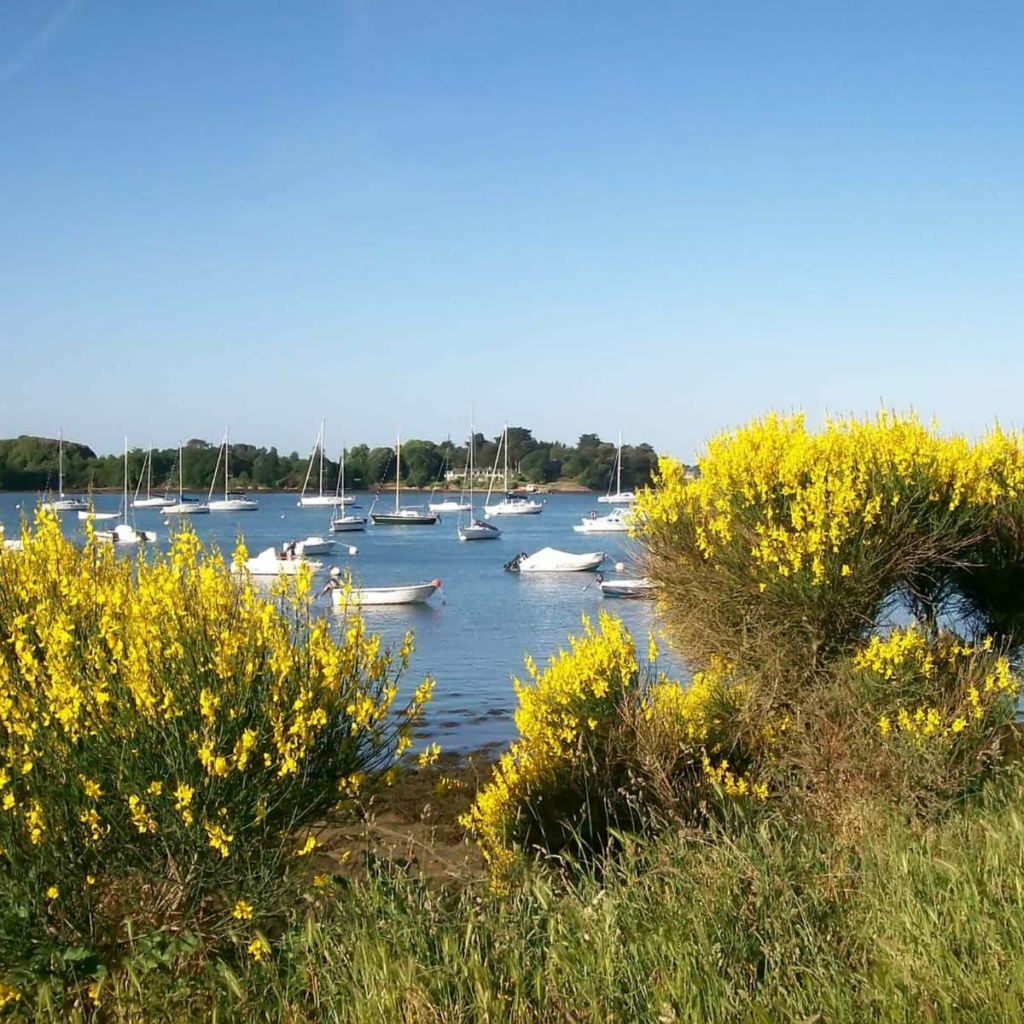 article_golfe du Morbihan_printemps